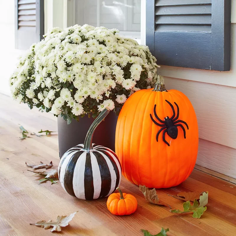 46 Creative Pumpkin Painting Ideas for Fall Home Decor 43 Black and White Striped Pumpkin