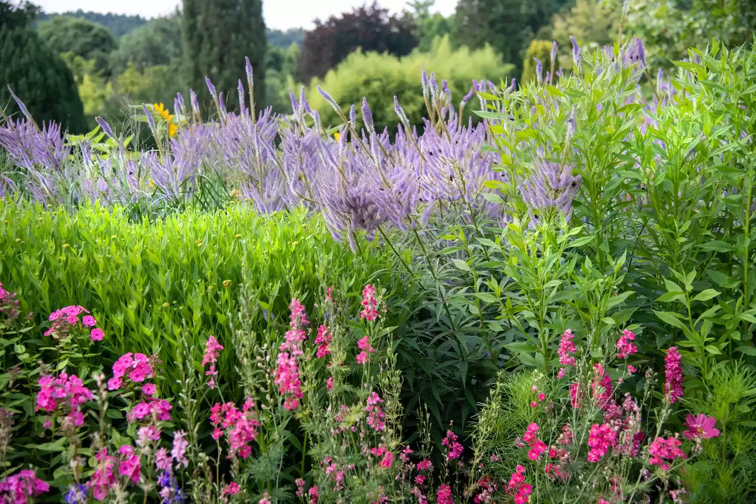 27 Stunning Flower Garden Designs to Transform Your Outdoor Space Bold and Colorful Flower Garden