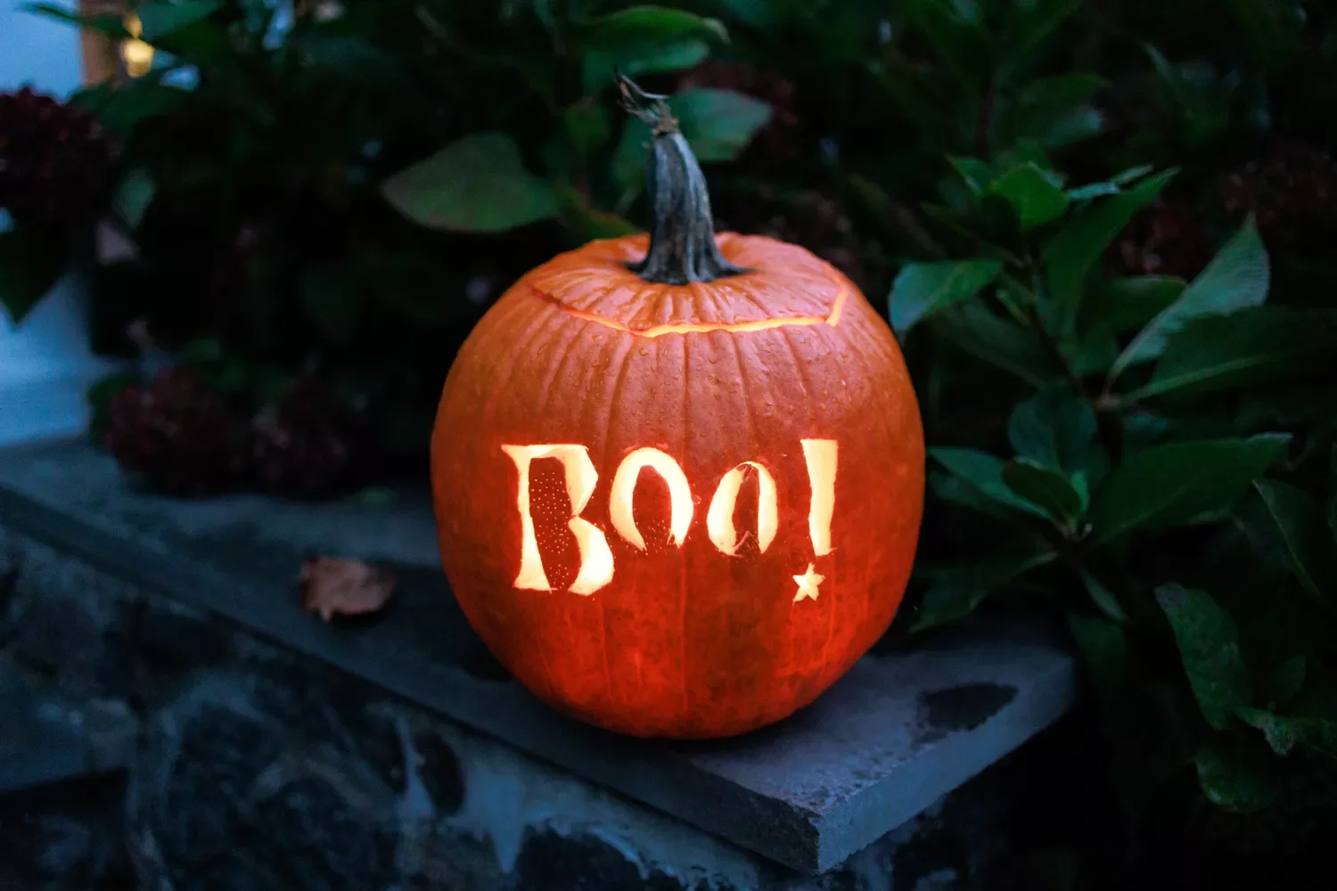 77 Creative Pumpkin Carving Ideas That'll Transform Your Fall Decorating Game 38 Boo Pumpkin