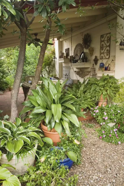 14 Stunning Hosta Garden Ideas That Will Transform Your Outdoor Space 12 Boost Your Homes Curb Appeal