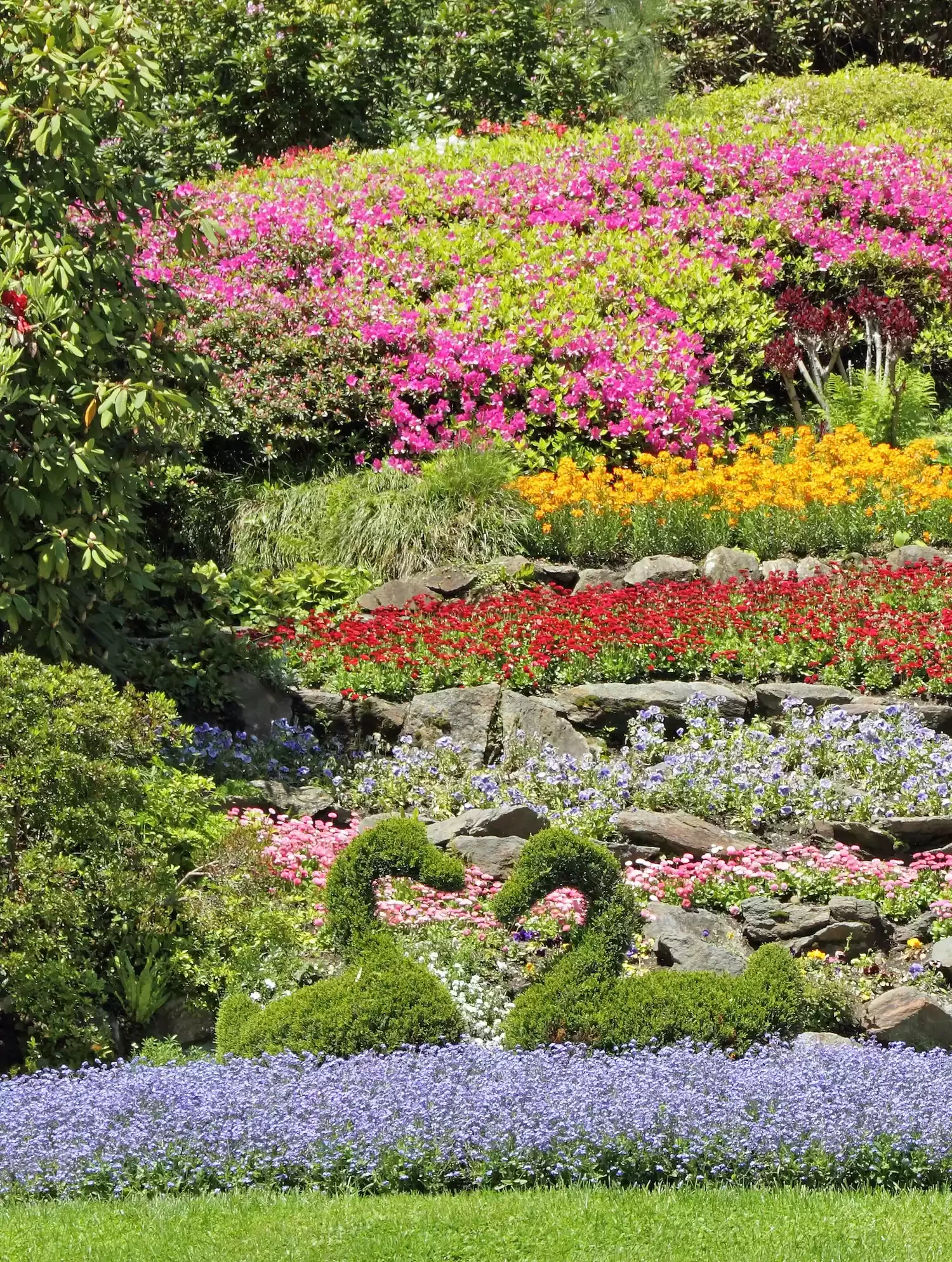 Border Raised Bed