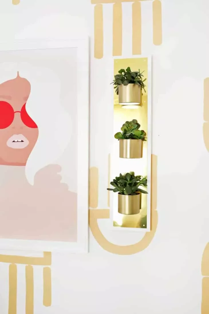 30 Creative DIY Wall Planter Projects to Transform Your Space Brass Plate Wall Planter