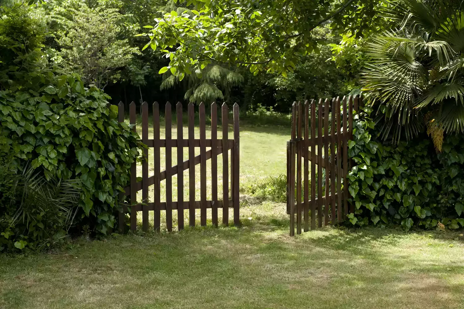 Break Up Your Fence With Hedges