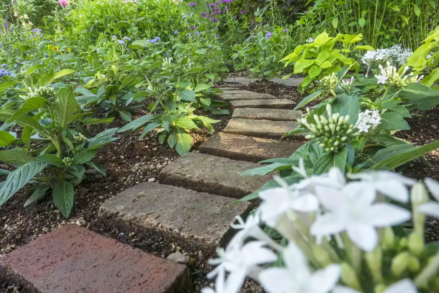 Brick Pathway