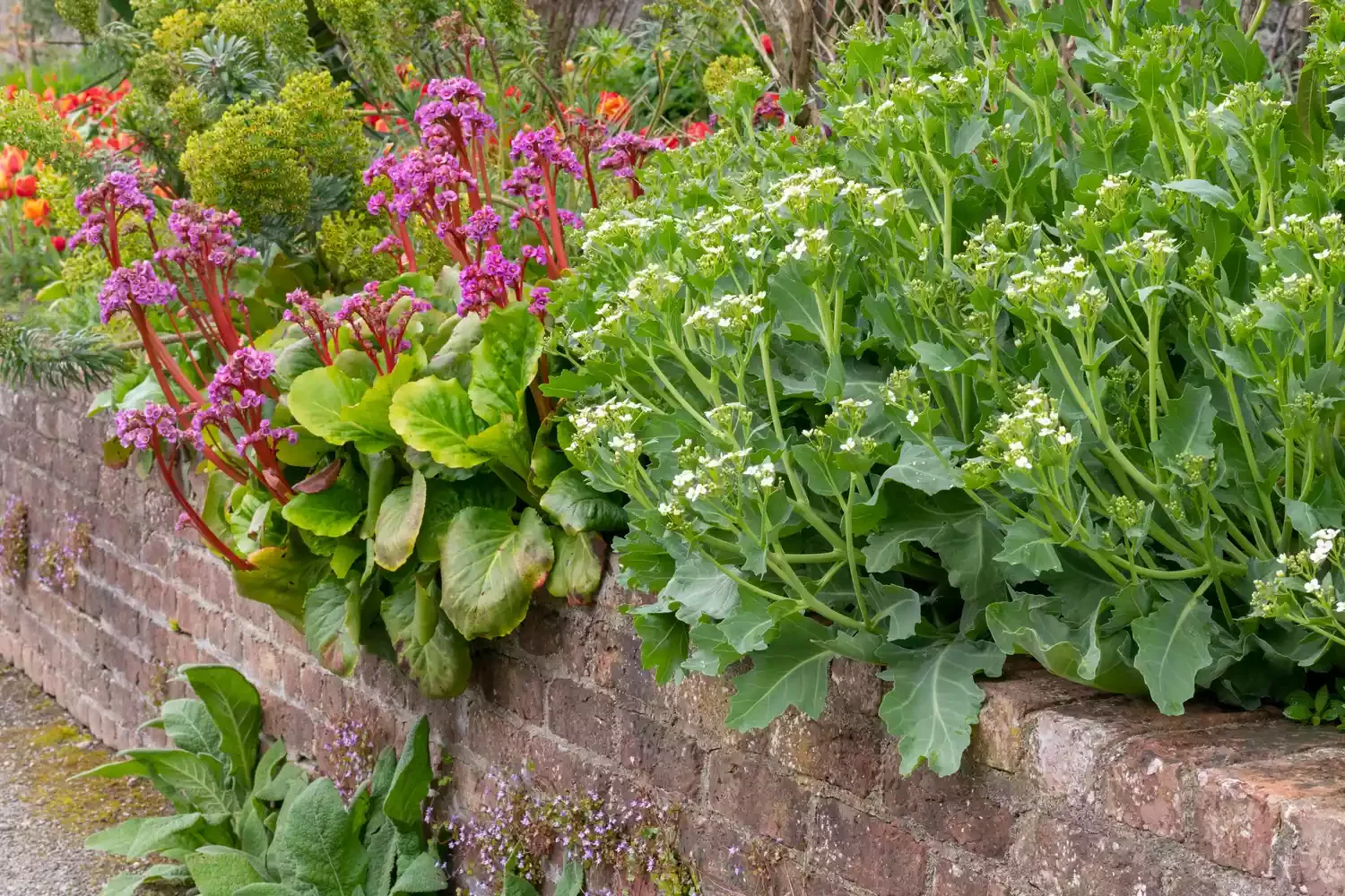 30 Affordable and Creative Ways to Define Your Garden Boundaries Brick Wall Edge