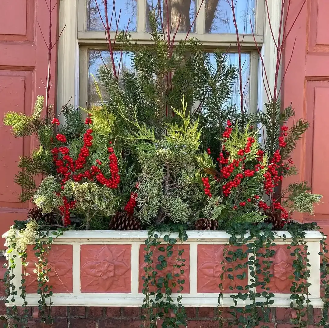 13 Stunning Winter Window Box Designs That'll Transform Your Home's Curb Appeal 11 Bright Berries