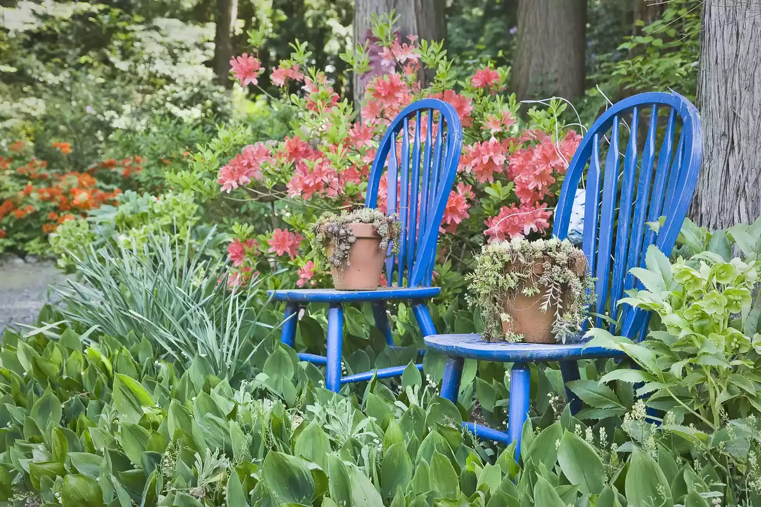 Brighten Your Garden With Colorful Furniture
