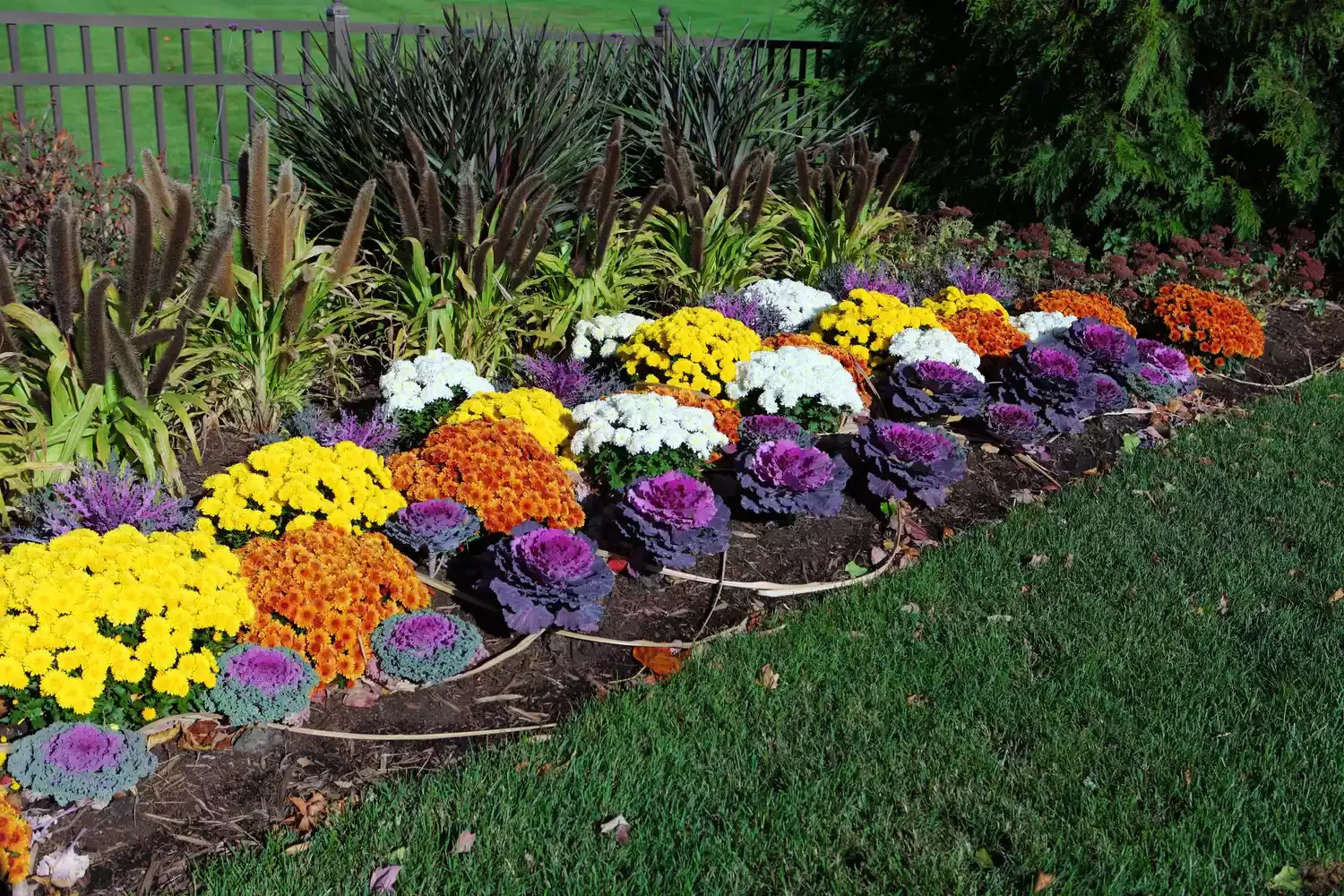 30 Stunning Fall Decor Ideas to Transform Your Outdoor Space Into an Autumn Paradise 7 Bring Out the Cabbage