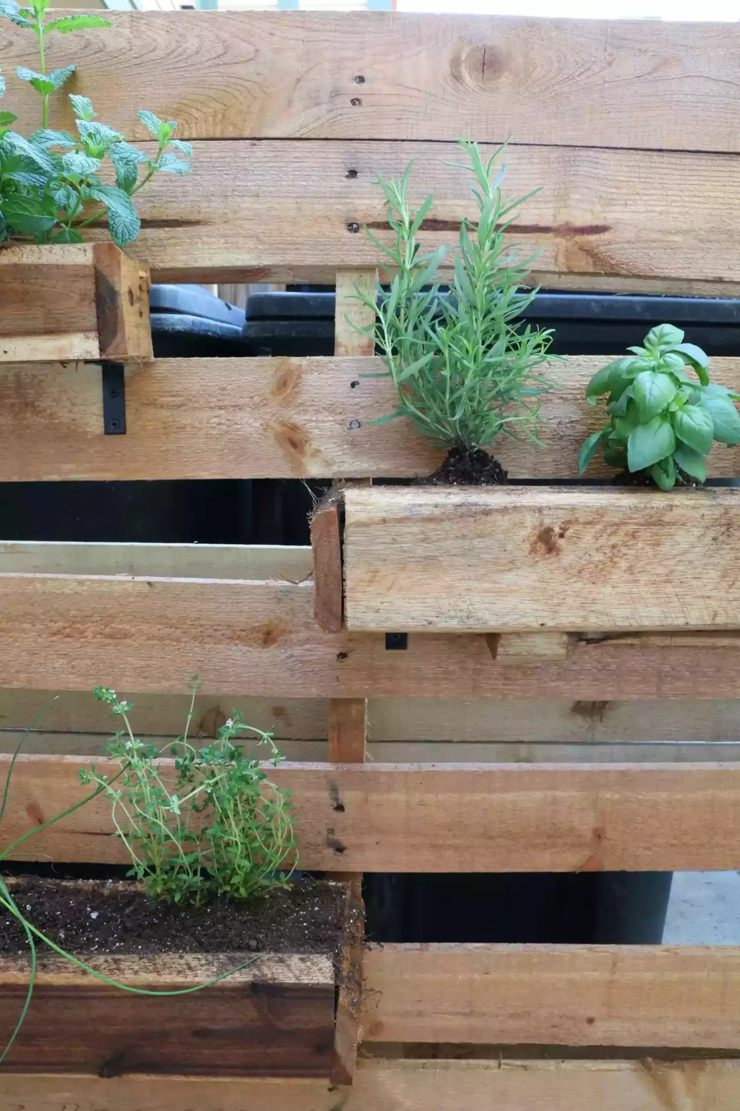 40 Budget-Friendly DIY Backyard Projects to Create Your Dream Outdoor Space Bring in a Herb Garden