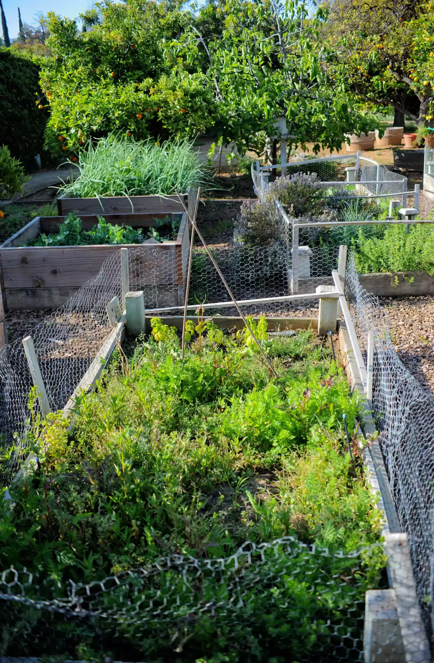 37 Creative Herb Garden Ideas to Transform Your Indoor and Outdoor Spaces Build Raised Garden Beds
