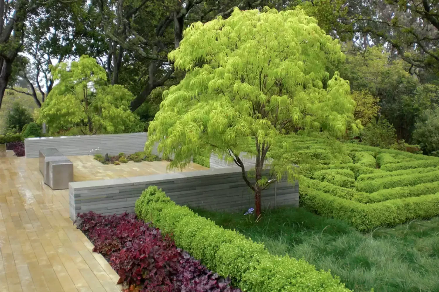 15 Creative Ways to Transform the Space Around Your Trees Build a Boxwood Labyrinth