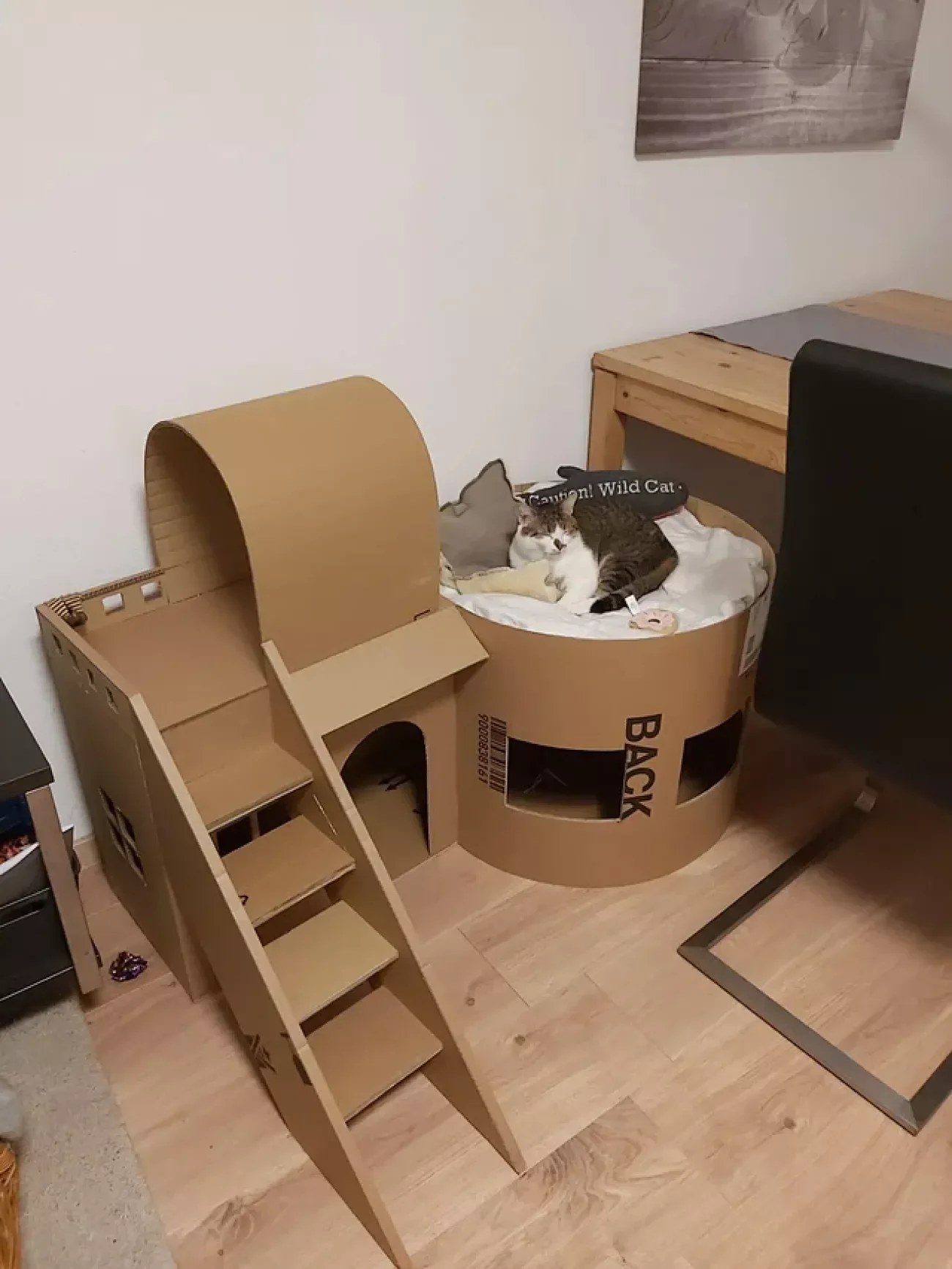 25 Stylish Cat Room Ideas That'll Transform Your Home Into a Feline Paradise 16 Build a Cat Castle
