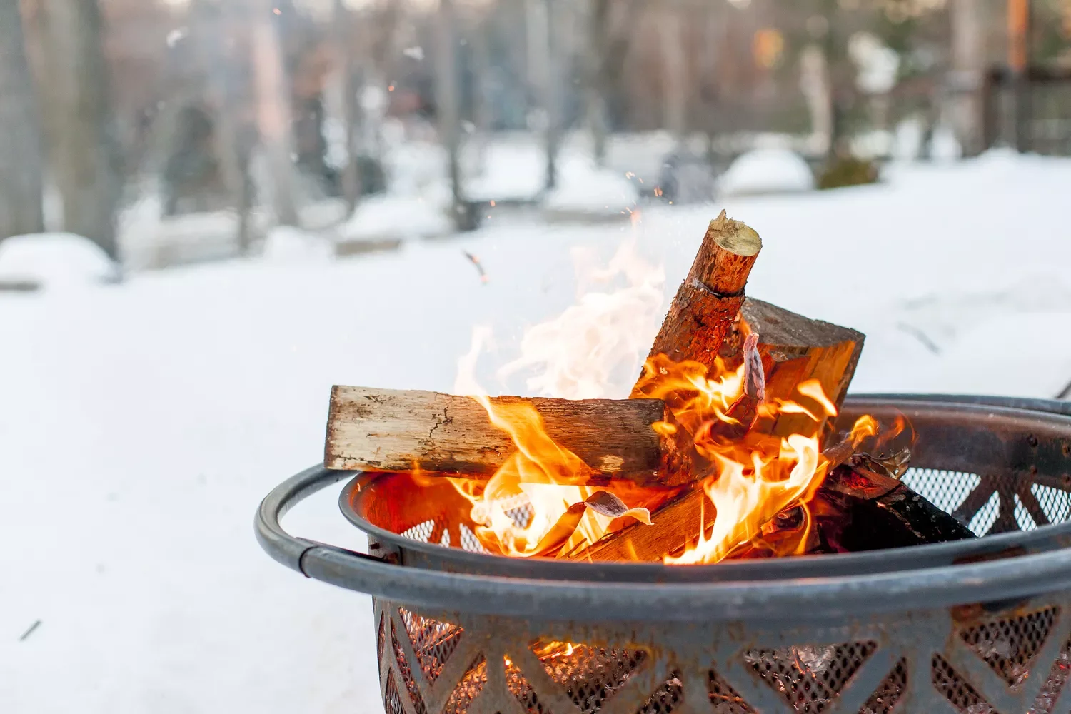 12 Winter Landscape Design Ideas That Keep Your Outdoor Space Colorful and Cozy Build a Firepit