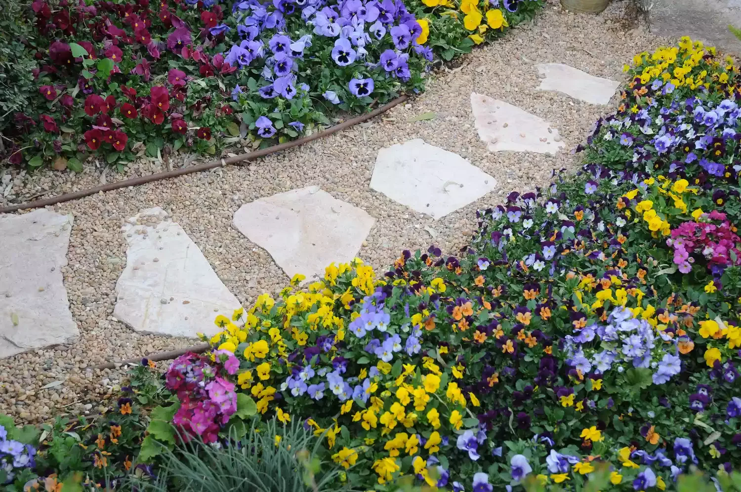23 Budget-Friendly Front Yard Makeover Ideas That Will Wow Your Neighbors Build a Path