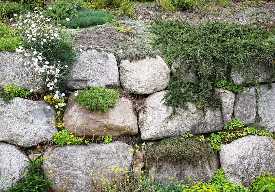 21 Budget-Friendly Retaining Wall Ideas That Transform Your Landscape Build a Rock (Garden) Retaining Wall