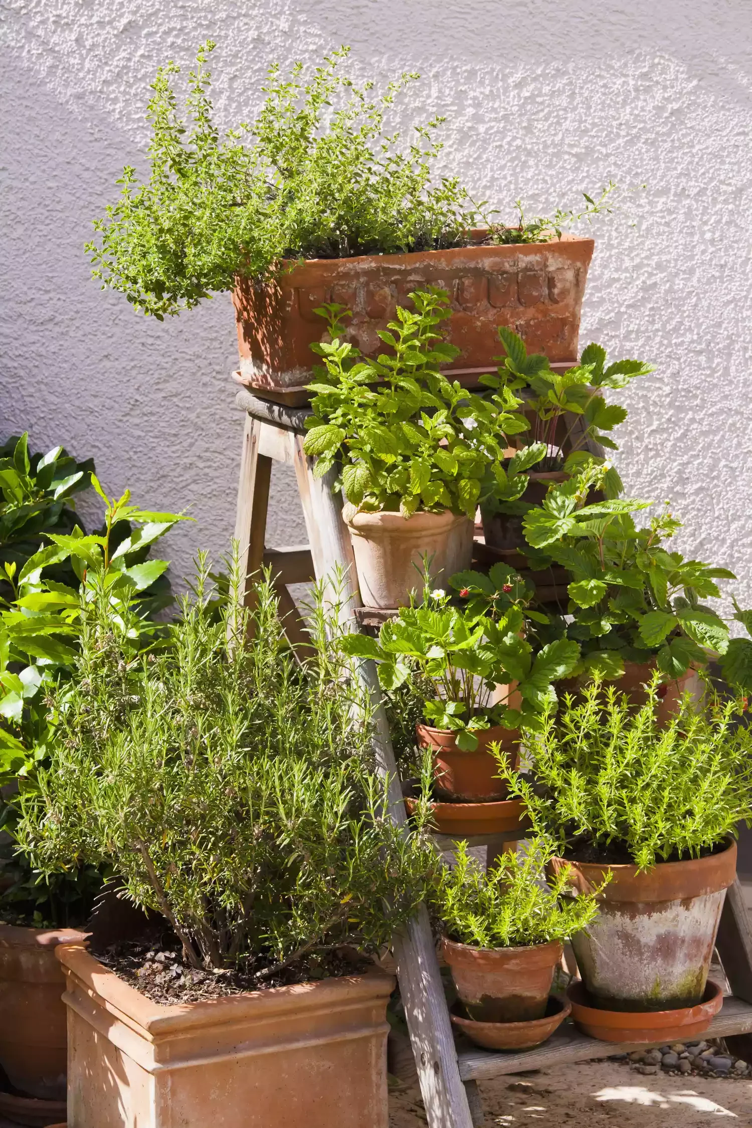 37 Creative Herb Garden Ideas to Transform Your Indoor and Outdoor Spaces Build a Vertical Garden