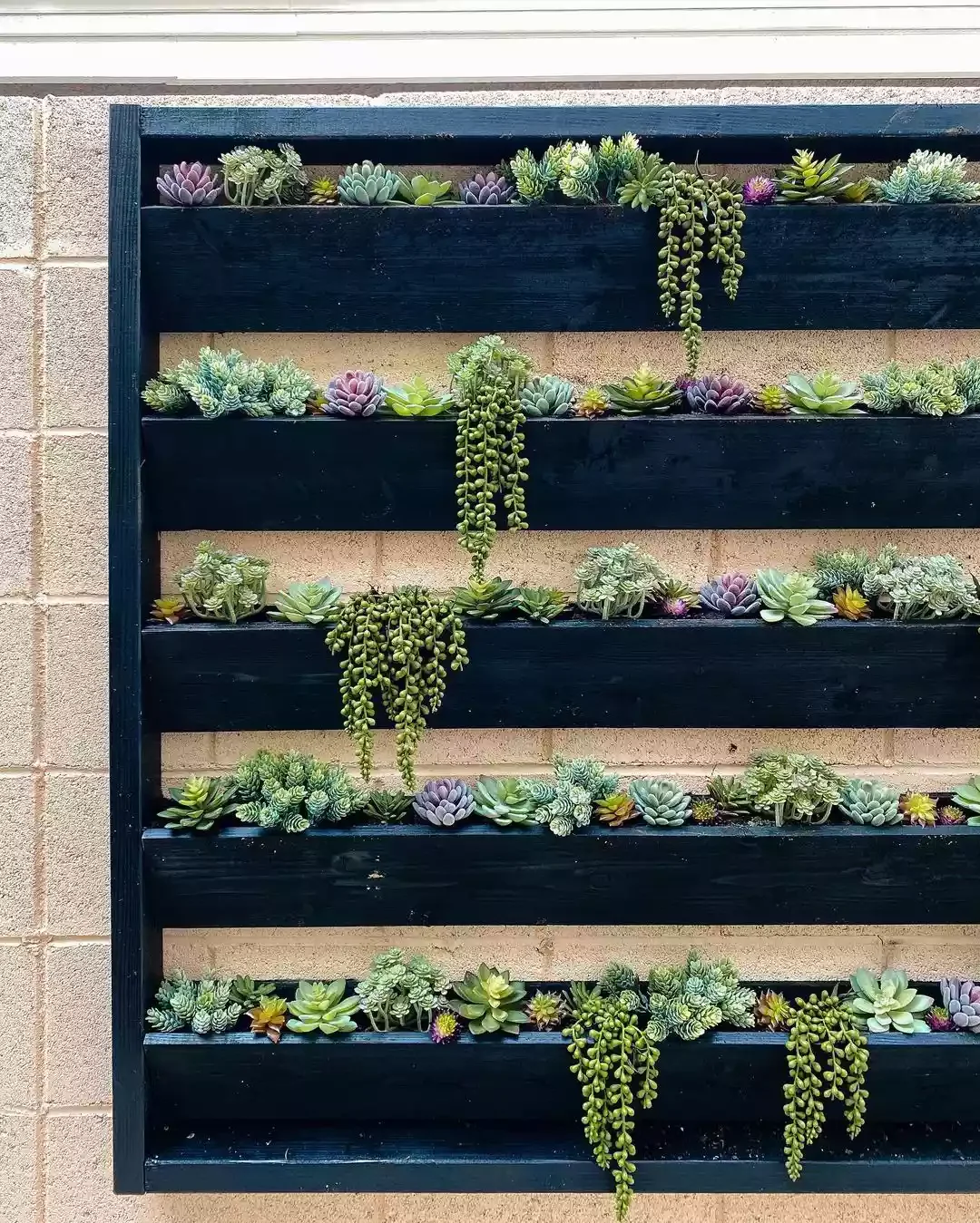 15 Budget-Friendly Cinder Block Garden Projects to Transform Your Outdoor Space 6 Build a Wood Succulent Planter on Cinder Blocks