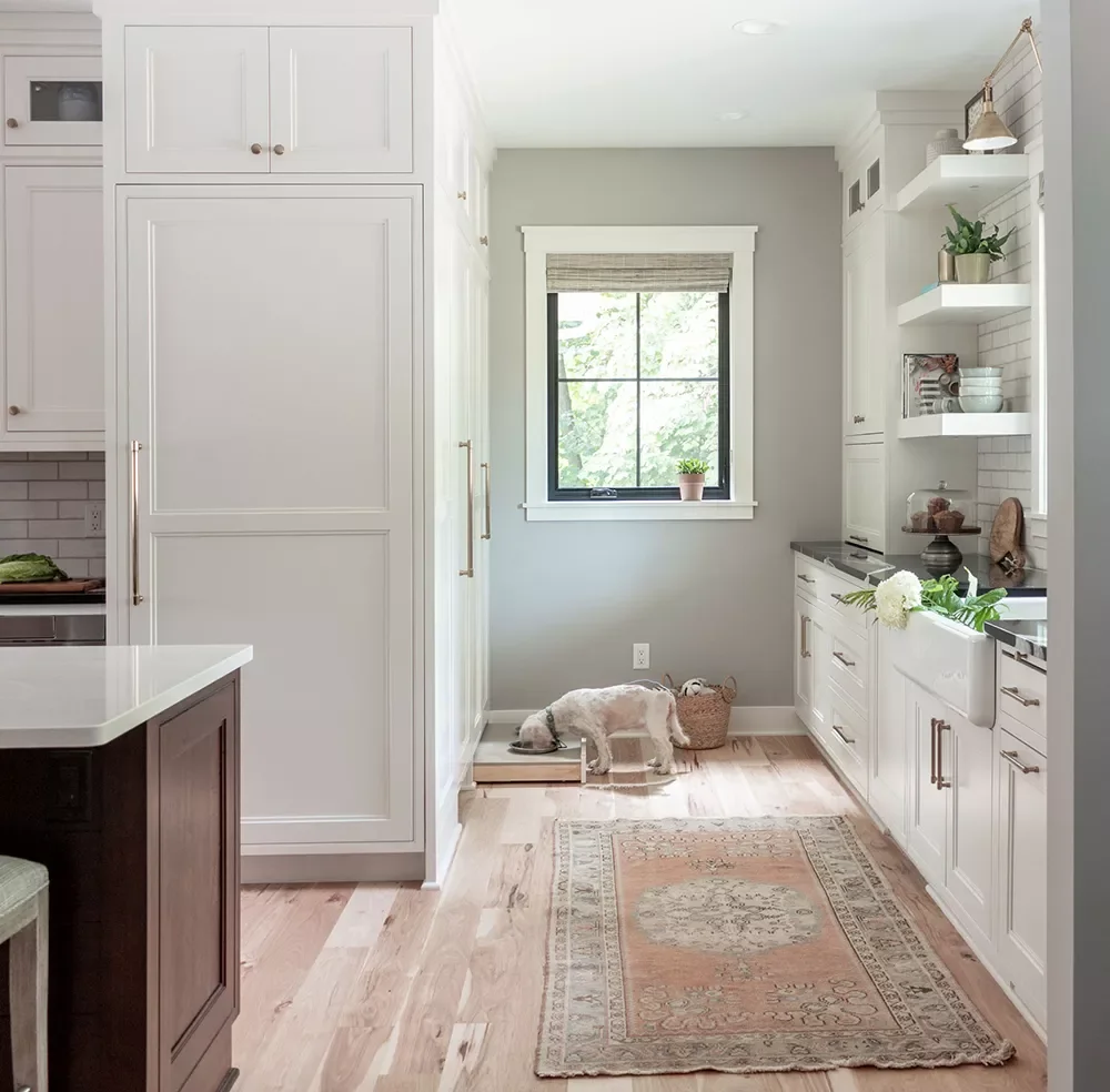 28 Incredible Dog Room Ideas That Will Make Both You and Your Furry Friend Happy 4 Built-In Feeding Station