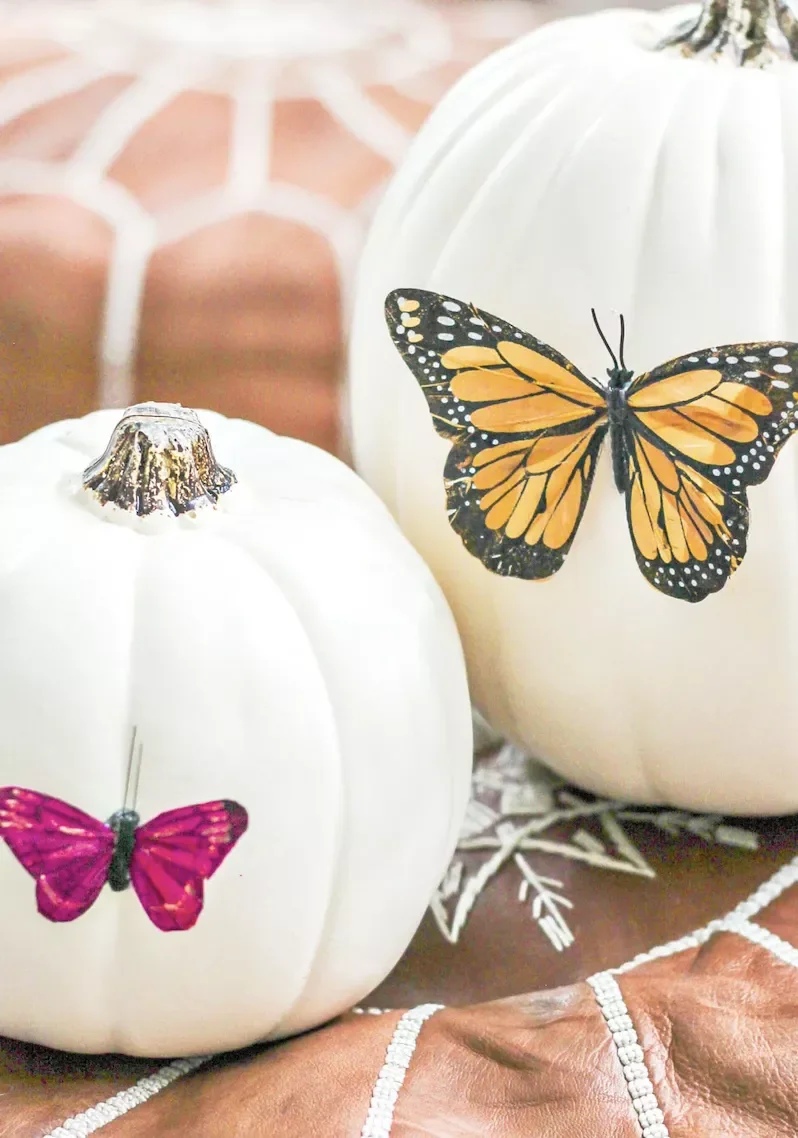 90 Creative Halloween Pumpkin Decorating Ideas to Try This Season 32 Butterfly Pumpkin