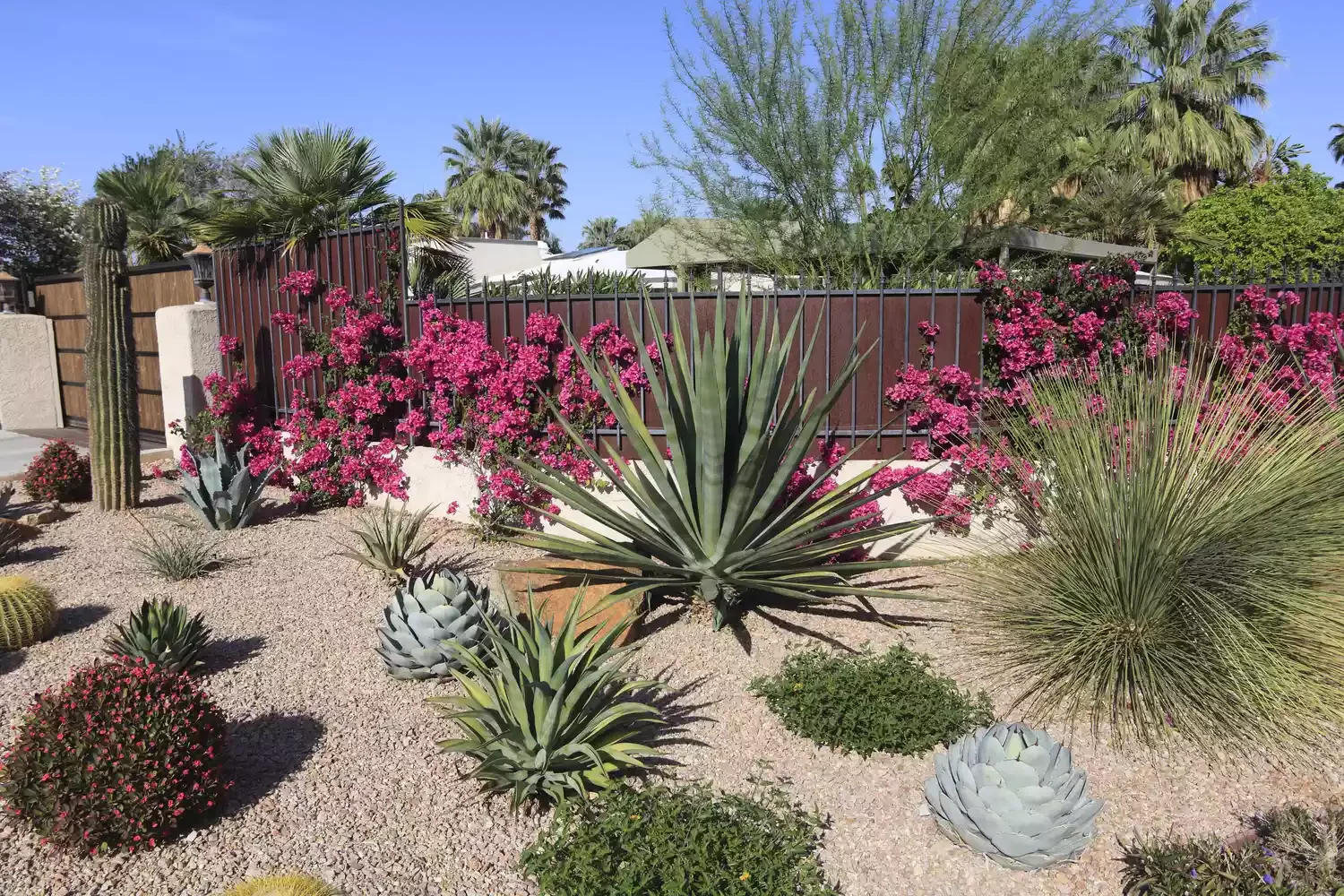 14 Creative Gravel Garden Ideas for a Beautiful Water-Smart Landscape Cactus Garden
