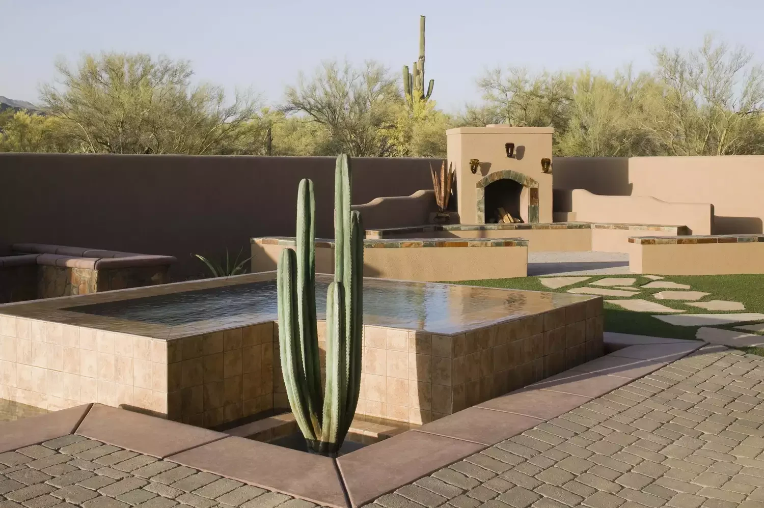 16 Pool Landscaping Ideas That Transform Your Area Cactus