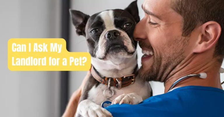 Can I Ask My Landlord for a Pet? – Rental Awareness