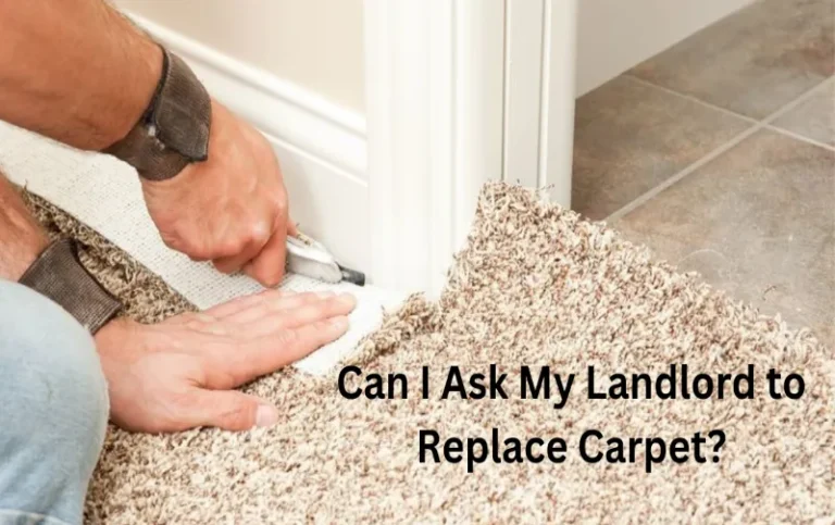 Can I Ask My Landlord to Replace Carpet? Expert Guide Reveals Answers