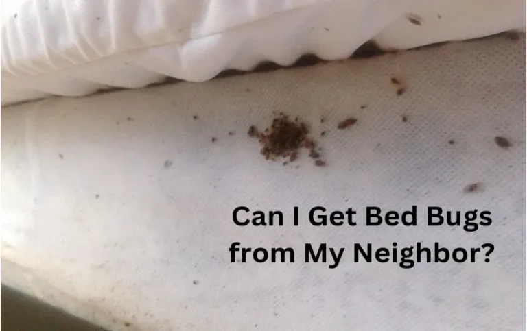 Can I Get Bed Bugs from My Neighbor? Discover the Shocking Truth!