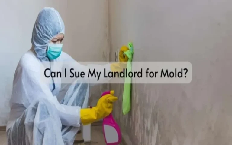 Can I Sue My Landlord for Mold in California? Your Legal Rights Explained