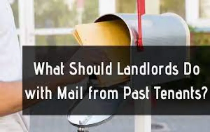 Can I Throw Away Previous Tenants Mail Expert Guidelines Revealed!