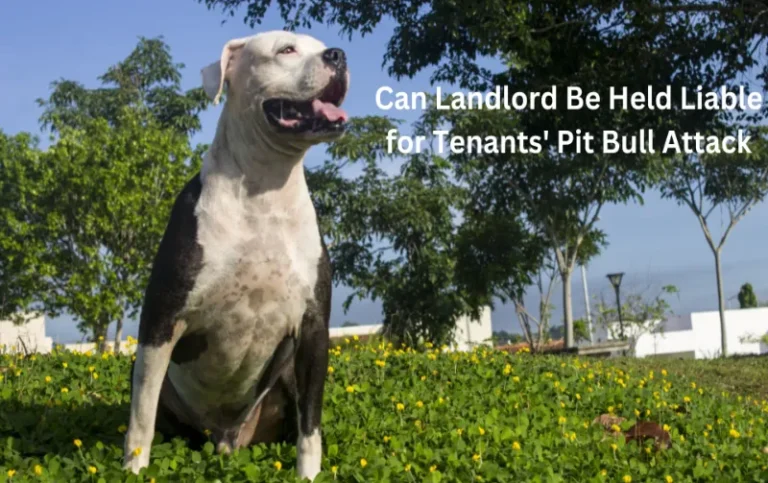 Can Landlord Be Held Liable for Tenants’ Pit Bull Attack: The Ultimate Guide