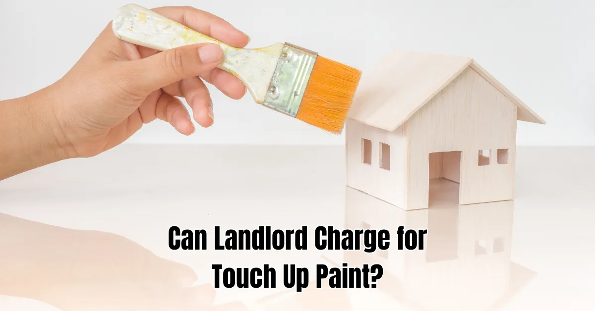 Can Landlord Charge for Touch Up Paint Find Out the Truth!