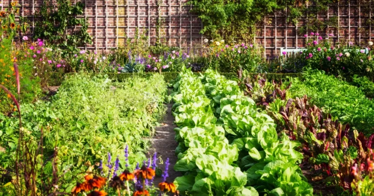 Secret Revealed: Can Landlord Do Garden Without Permission?
