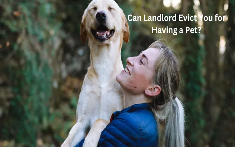 Can Landlord Evict You for Having a Pet? Unveiling the Truth Behind Pet-Friendly Rentals