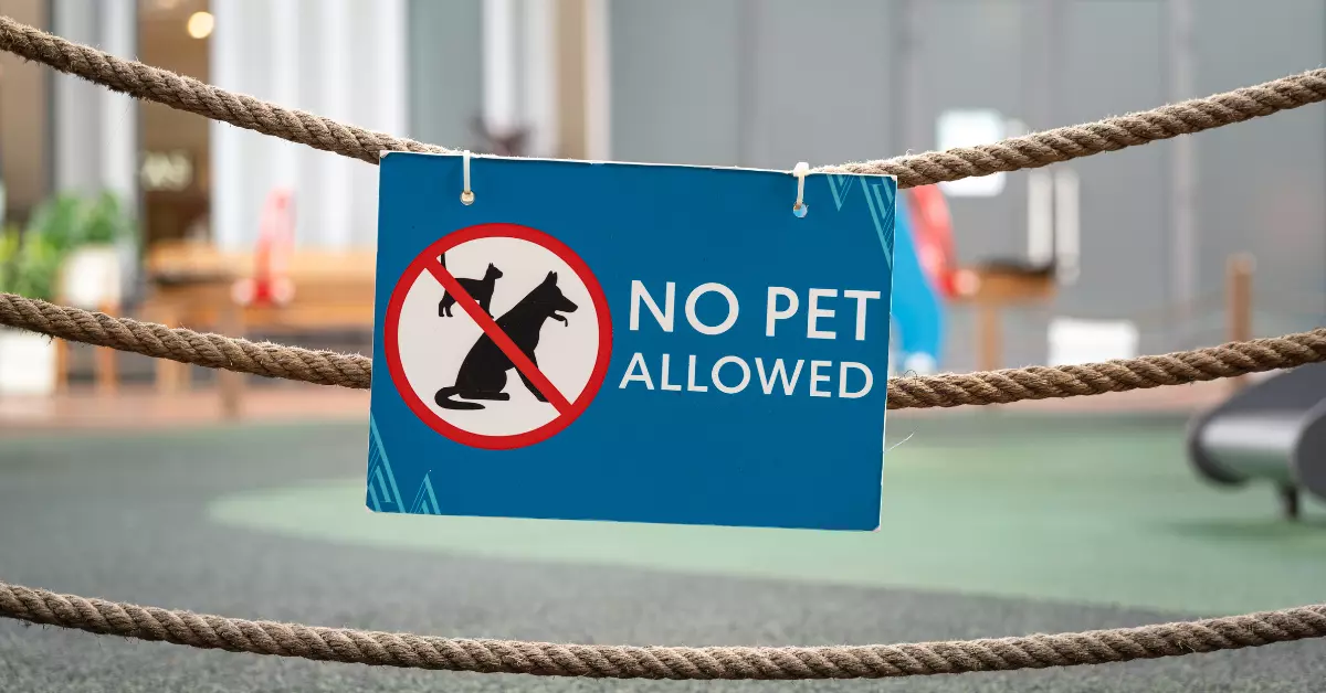 Can Landlord Forbid Pets Netherlands