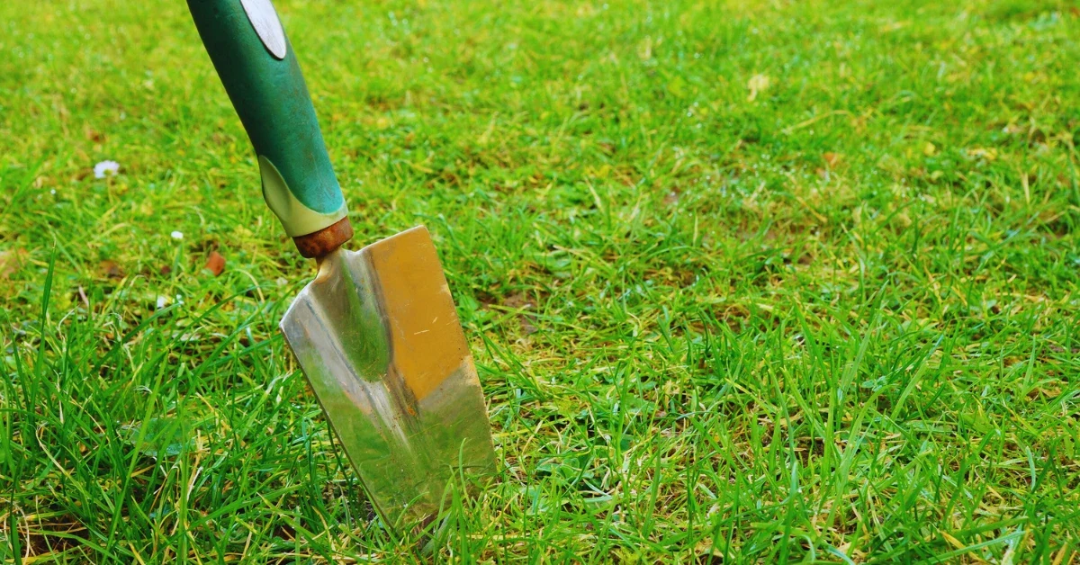 Can Landlord Make You Cut Grass