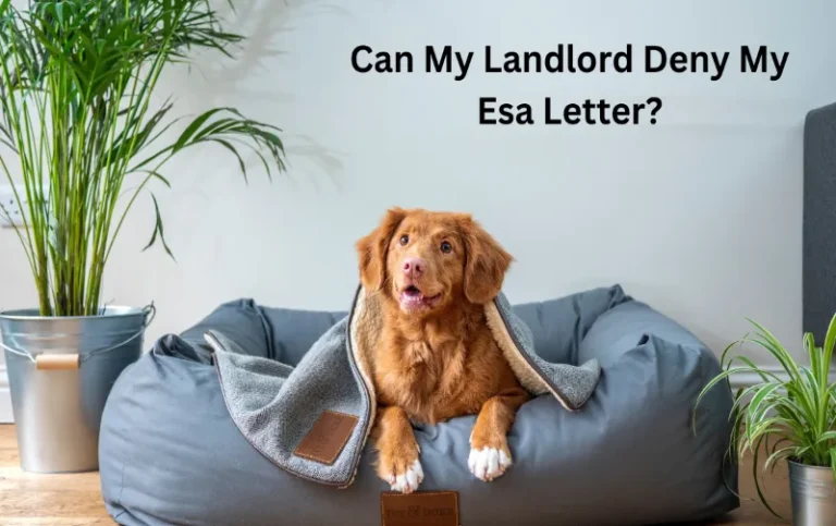 Can My Landlord Deny My Esa Letter? Know Your Rights and Assert Them