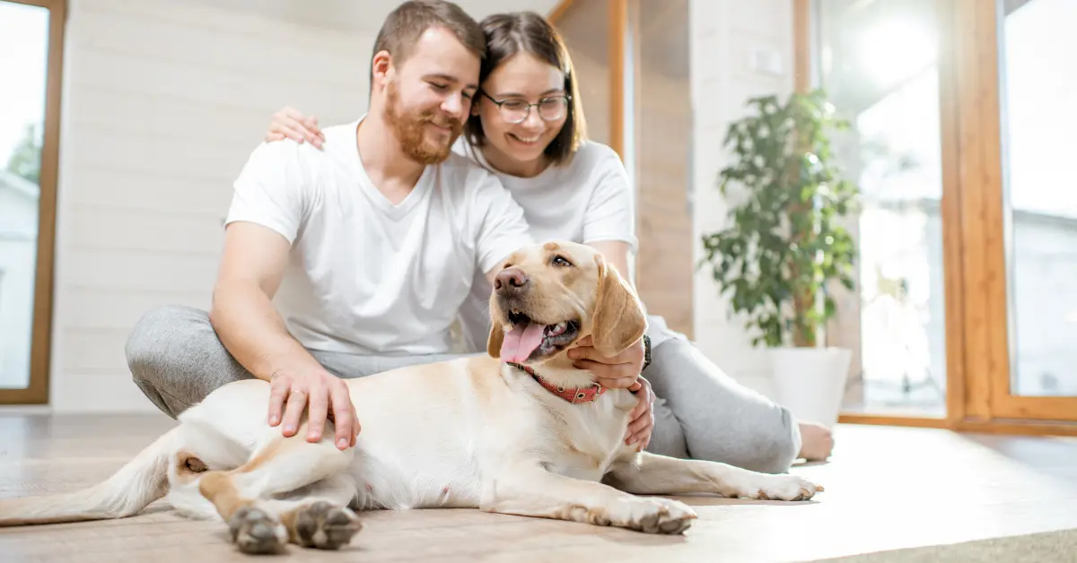 Can Tenants Have Pets in Nsw