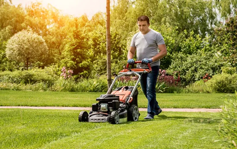 Can a Landlord Charge for Yard Work? Discover the Truth Behind Landlords' Yard Maintenance Fees