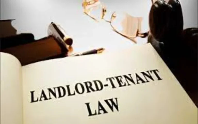 Can a Landlord Invade Your Yard Without Permission?
