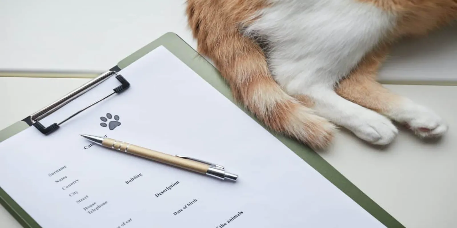 Can a Landlord Legally Request Vet Records: Ensuring Pet-Friendly Rentals