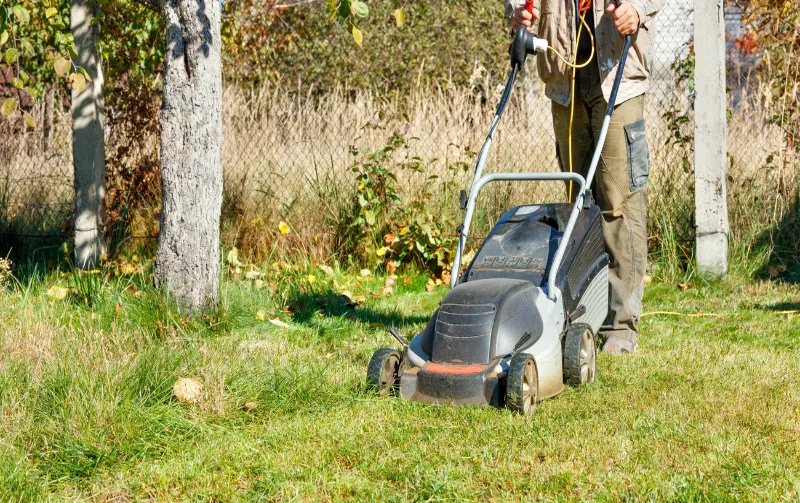 Can a Neighbor Claim My Land by Mowing It? Unlocking the Truth