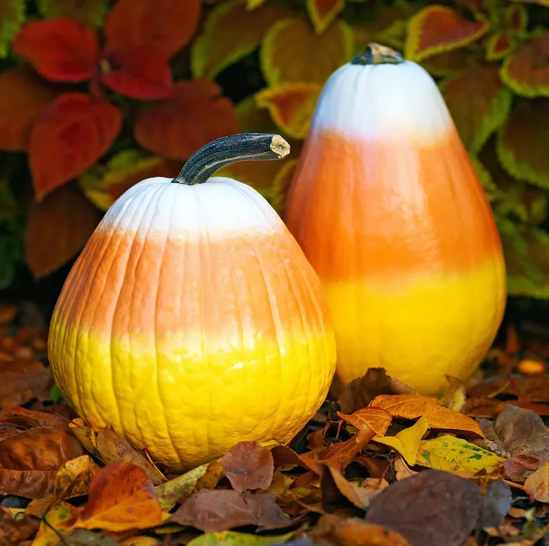 46 Creative Pumpkin Painting Ideas for Fall Home Decor 20 Candy Corn Pumpkins