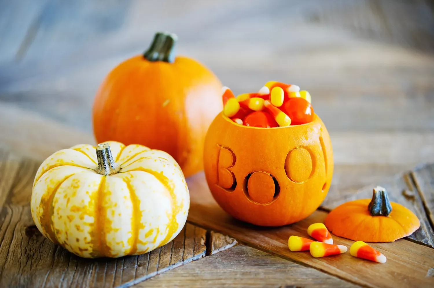 77 Creative Pumpkin Carving Ideas That'll Transform Your Fall Decorating Game 76 Candy Filled Pumpkin