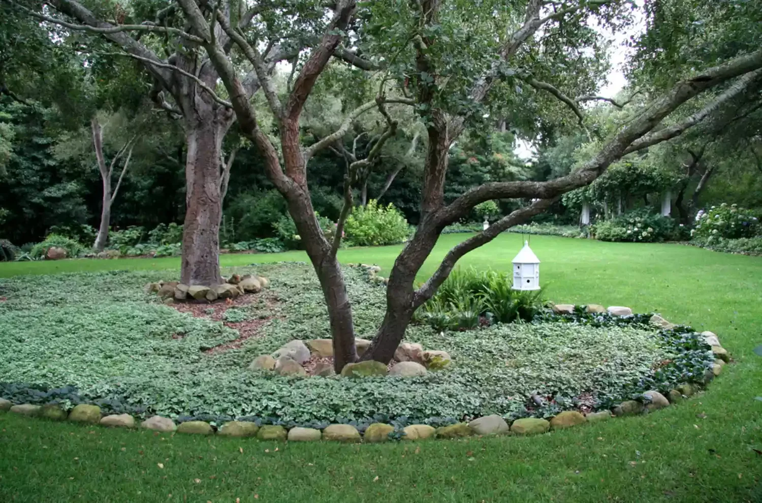 15 Creative Ways to Transform the Space Around Your Trees Carpet the Ground With Nettle