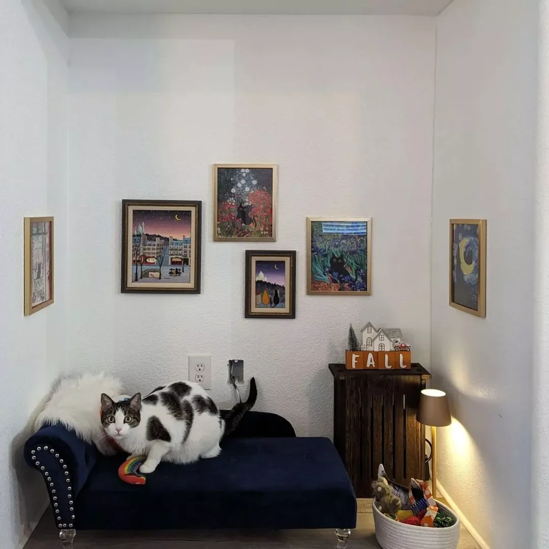 25 Stylish Cat Room Ideas That'll Transform Your Home Into a Feline Paradise 13 Carve Out a Cat Nook