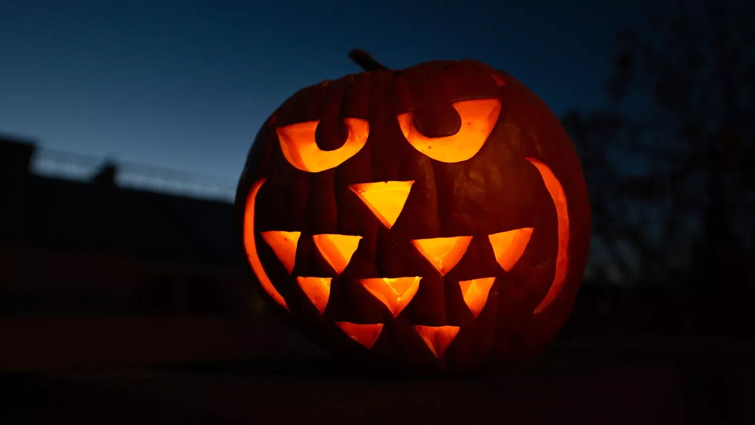 77 Creative Pumpkin Carving Ideas That'll Transform Your Fall Decorating Game 33 Carved Owl Pumpkin