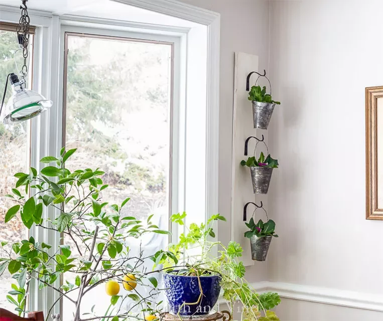 30 Creative DIY Wall Planter Projects to Transform Your Space Casual Farmhouse Wall Planter