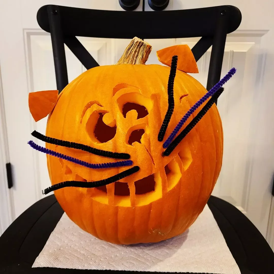 77 Creative Pumpkin Carving Ideas That'll Transform Your Fall Decorating Game 59 Cat Pumpkin with Pipe Cleaner Whiskers