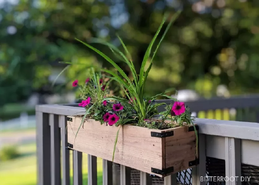 Cedar Planter Box